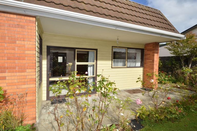 Photo of property in 50c David Street, Caversham, Dunedin, 9012