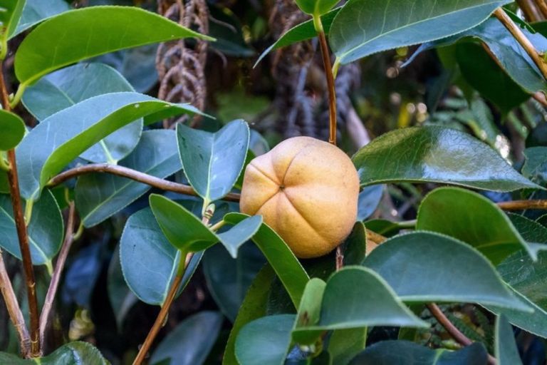 Photo of property in 236 Moetapu Bay Road, Moetapu Bay, Picton, 7282