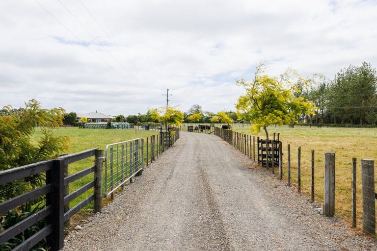 Photo of property in 271 Reid Line East, Aorangi, Feilding, 4775