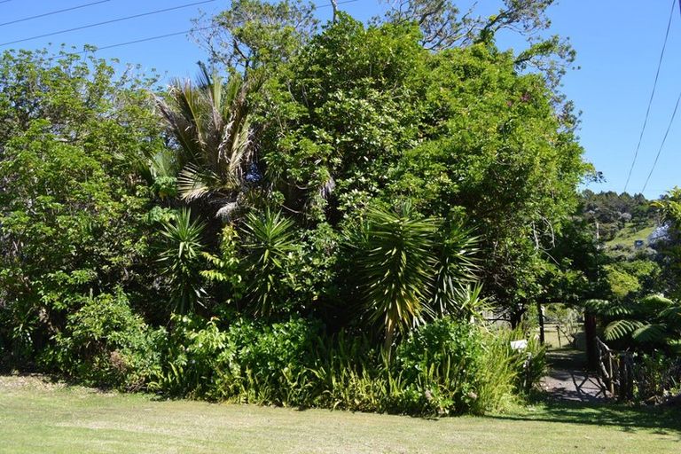 Photo of property in 279 Colville Road, Coromandel, 3584