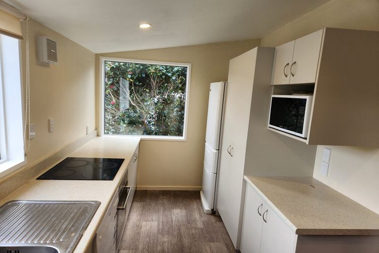 Photo of property in 8a Balmoral Street, Opoho, Dunedin, 9010