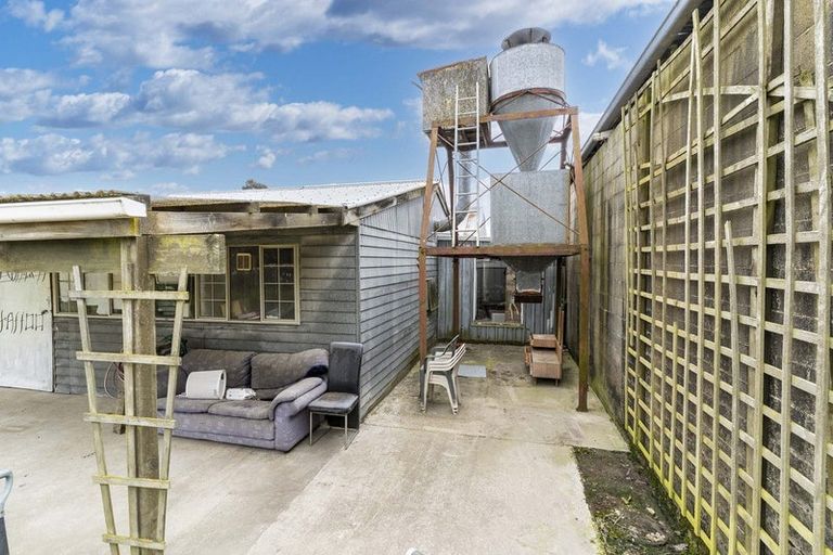 Photo of property in 8 Helensbrook Road, Milton, 9220