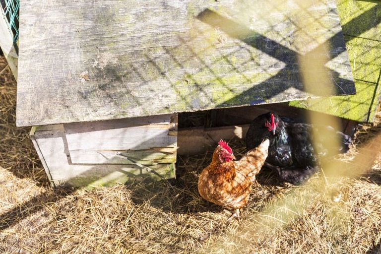 Photo of property in 79 Mclarin Road, Glenbrook, Waiuku, 2681