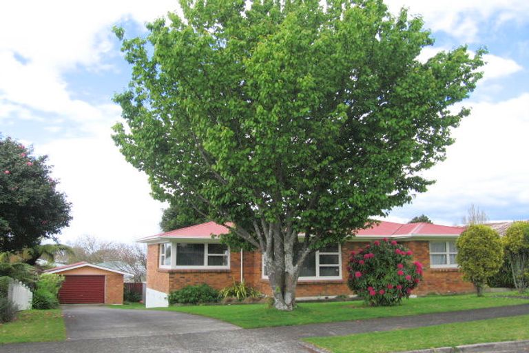 Photo of property in 3 Lorna Place, Brookfield, Tauranga, 3110
