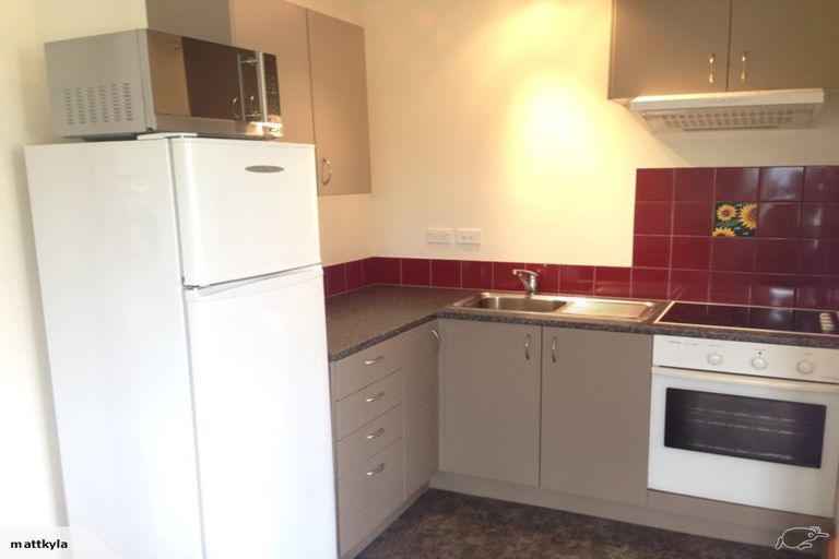 Photo of property in 34 Tweed Street, Roslyn, Dunedin, 9010