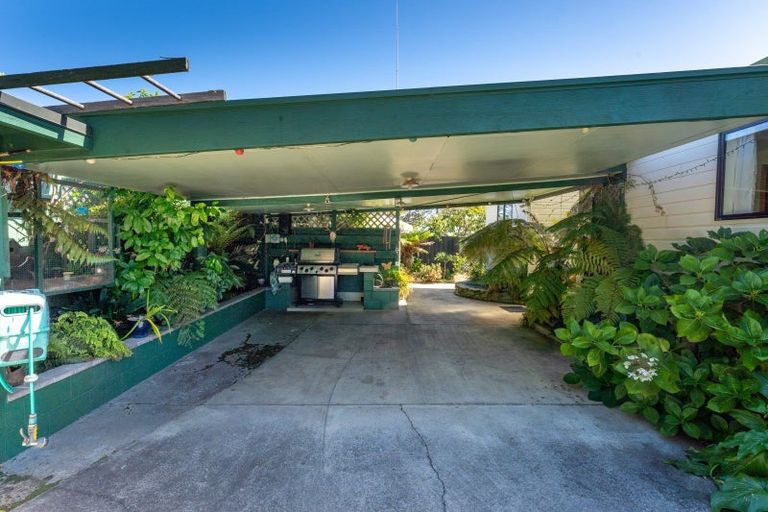 Photo of property in 3 Solway Drive, Witherlea, Blenheim, 7201