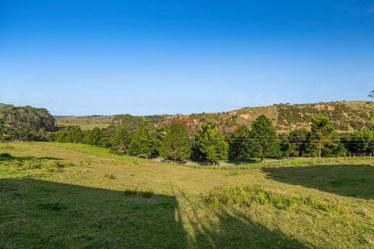 Photo of property in 499 Shelly Beach Road, South Head, Helensville, 0874