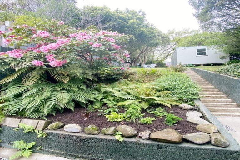 Photo of property in 26 Wales Street, Maori Hill, Dunedin, 9010