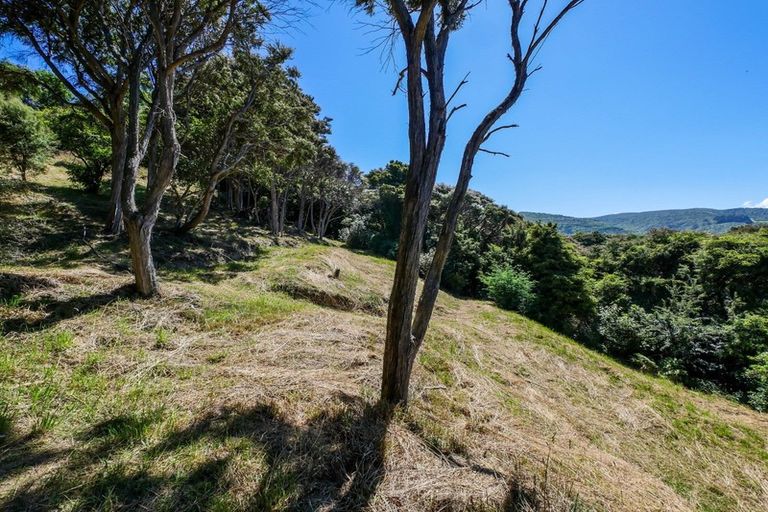 Photo of property in 24 Fred Hollows Way, Glenleith, Dunedin, 9010