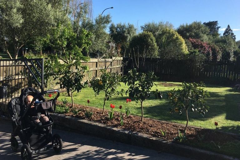 Photo of property in 6 Bledisloe Terrace, Hamilton East, Hamilton, 3216