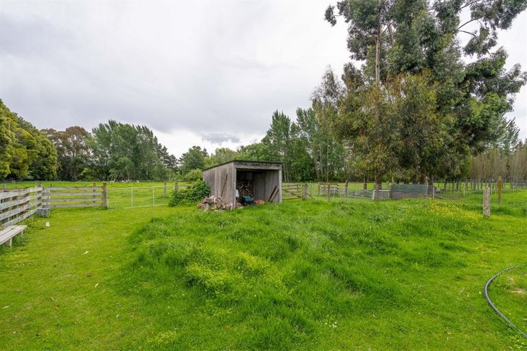 Photo of property in 365 Bluff Rangitumau Road, Rangitumau, Masterton, 5871