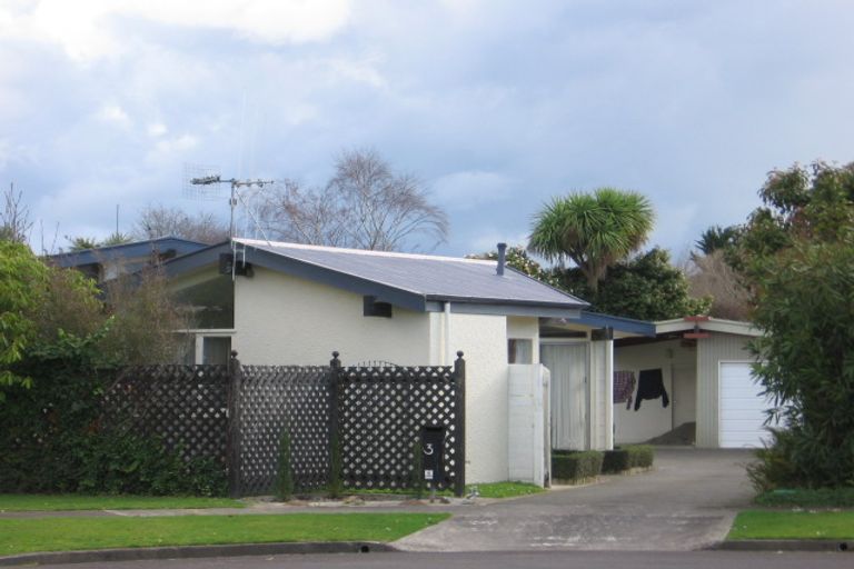 Photo of property in 3 Mcdonald Place, Awapuni, Palmerston North, 4412