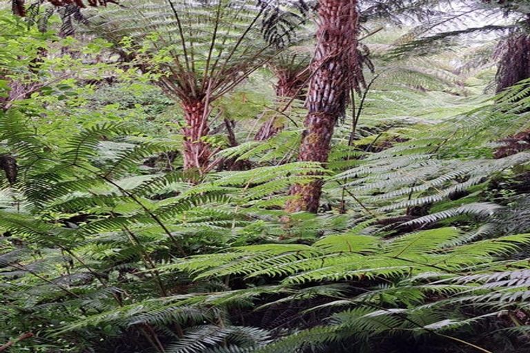 Photo of property in 30 Turvey Road, Mangonui, 0420