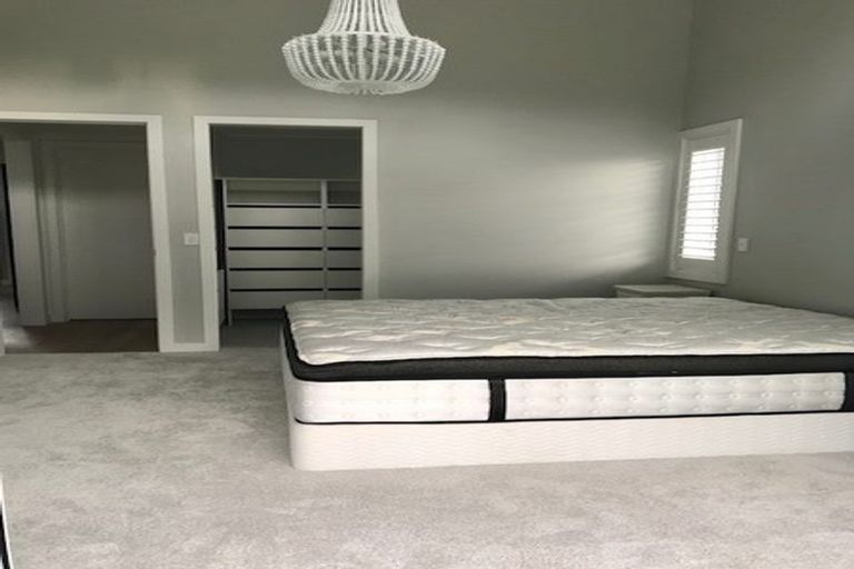 Photo of property in 81 Haigh Access Road, Redvale, Albany, 0794