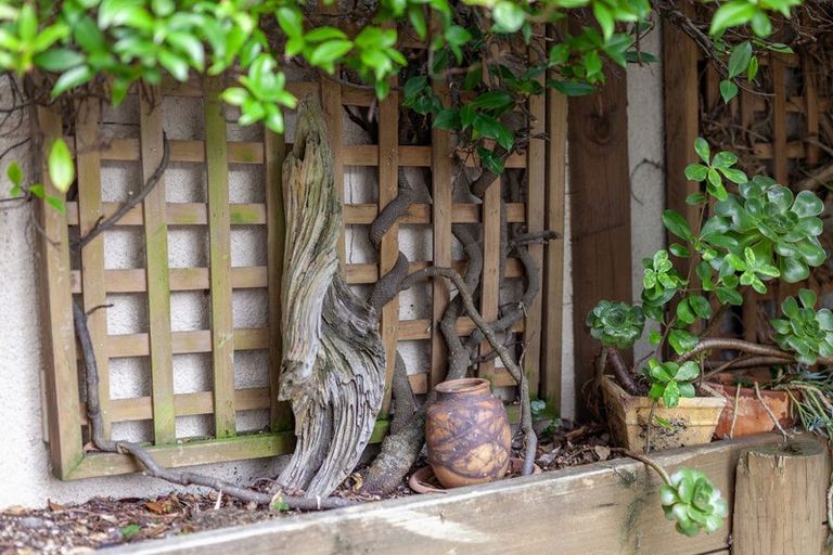 Photo of property in 334c Rosetta Road, Raumati Beach, Paraparaumu, 5032