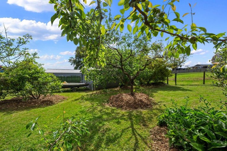 Photo of property in 25 Felgrove Street, Glendene, Auckland, 0602