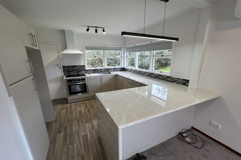 Photo of property in 1/29 Eban Avenue, Hillcrest, Auckland, 0627