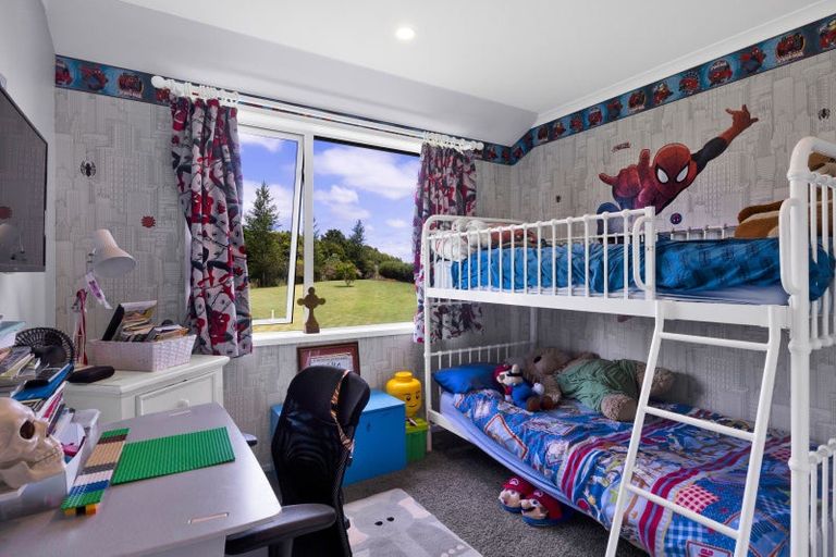 Photo of property in 26 Wawiri Road, Toko, Stratford, 4392