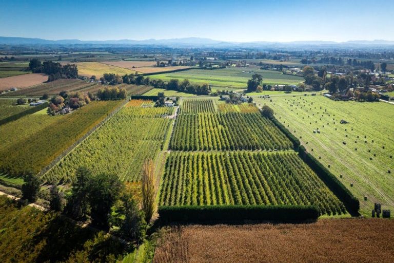 Photo of property in 83 Mount Erin Road, Pukahu, Hastings, 4172