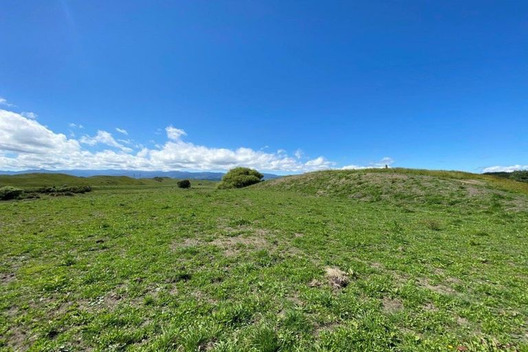 Photo of property in 644 Muhunoa Road West, Ohau, 5570