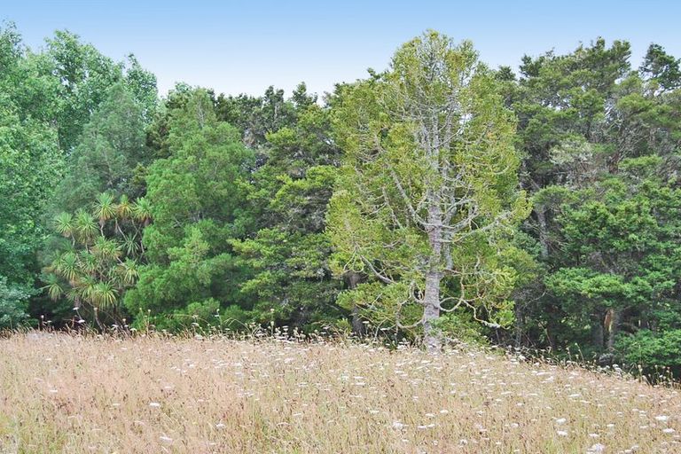 Photo of property in 255 Gibbons Road, Kaiwaka, 0573