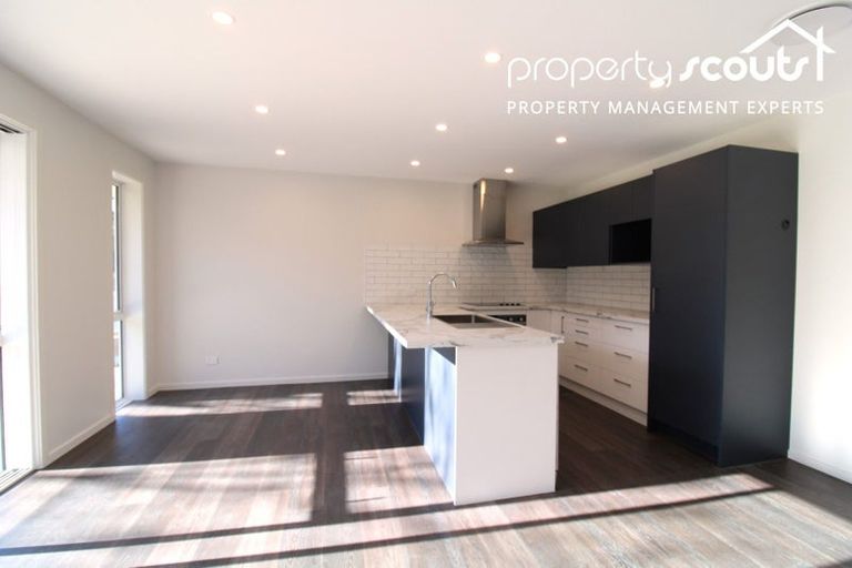 Photo of property in 42 Glenelg Street, Bradford, Dunedin, 9011