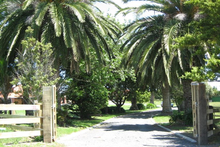 Photo of property in 133 Saddleton Road, Clarks Beach, Pukekohe, 2679