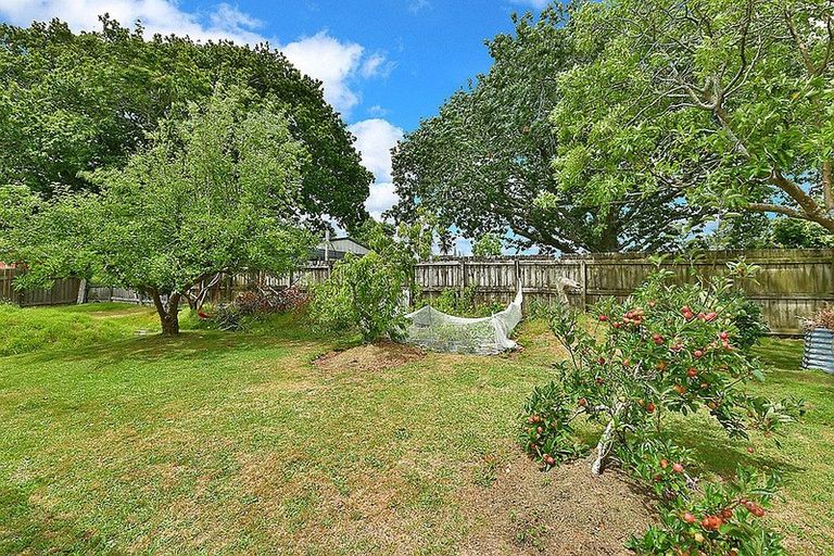 Photo of property in 14 Puriri Street, Helensville, 0800