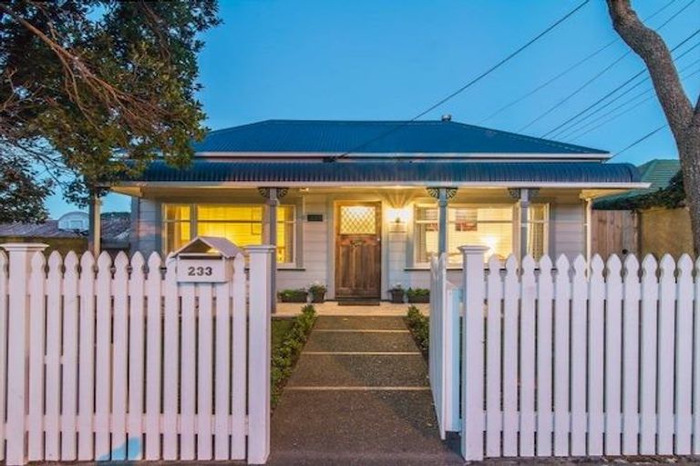 Photo of property in 233 Rintoul Street, Berhampore, Wellington, 6023