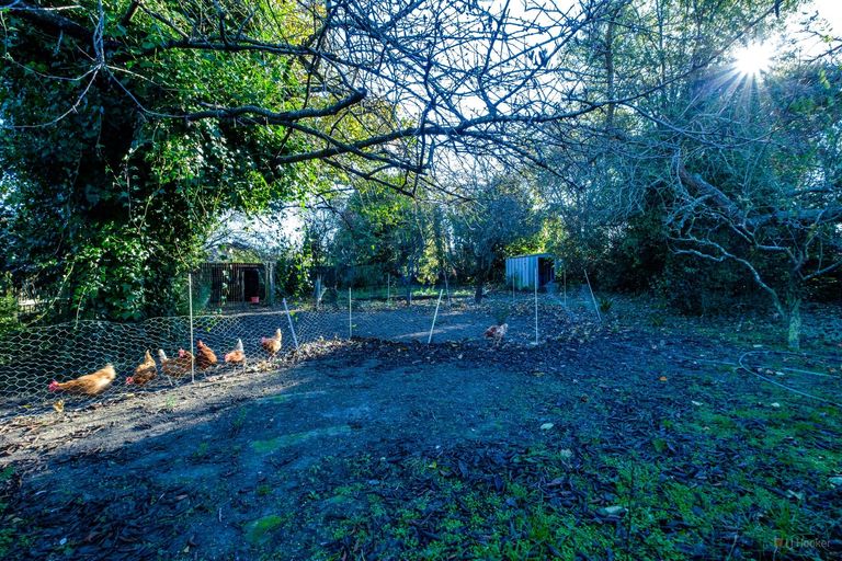 Photo of property in 12 Naylor Street, Waimate, 7924