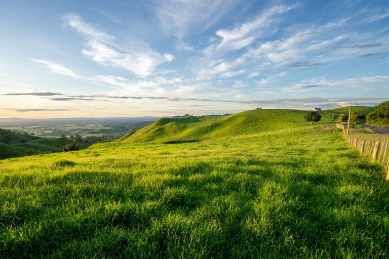 Photo of property in 699 Maungakawa Road, Te Miro, Cambridge, 3496