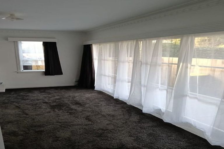 Photo of property in 87 Arapuni Street, Putaruru, 3411