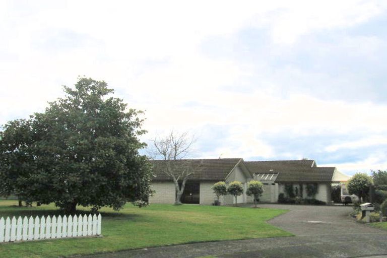 Photo of property in 55 Lydbrook Place, Otumoetai, Tauranga, 3110