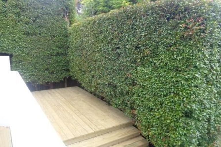 Photo of property in 38 Pukatea Avenue, Albany, Auckland, 0632