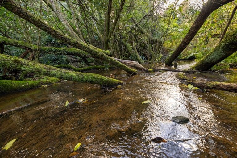 Photo of property in 76b Ainsworth Road, Minden, Tauranga, 3179
