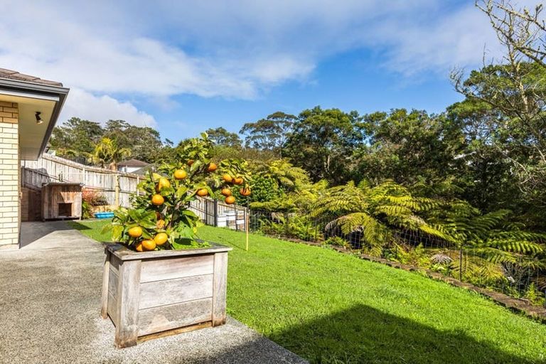 Photo of property in 31 Condor Place, Unsworth Heights, Auckland, 0632