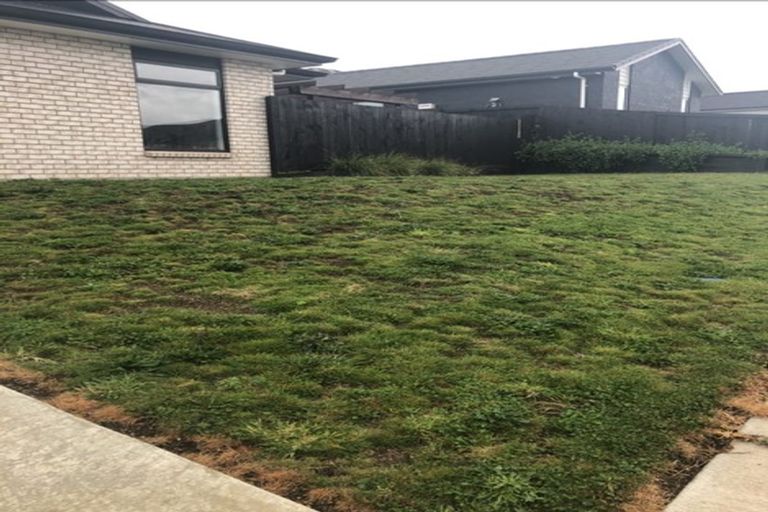 Photo of property in 21 Vercoe Crescent, Morrinsville, 3300