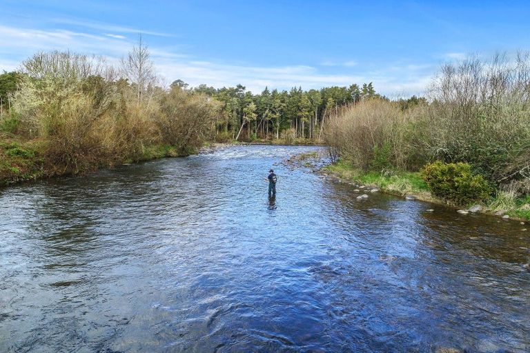 Photo of property in 205 Te Rena Road, Kakahi, 3989