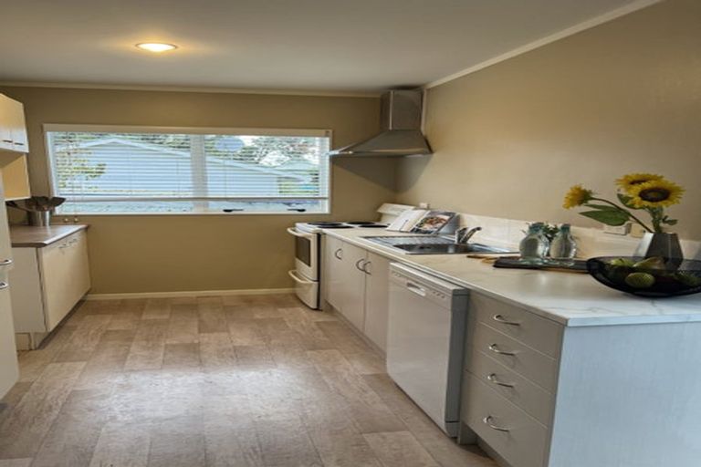 Photo of property in 49 Vincent Street, Howick, Auckland, 2014