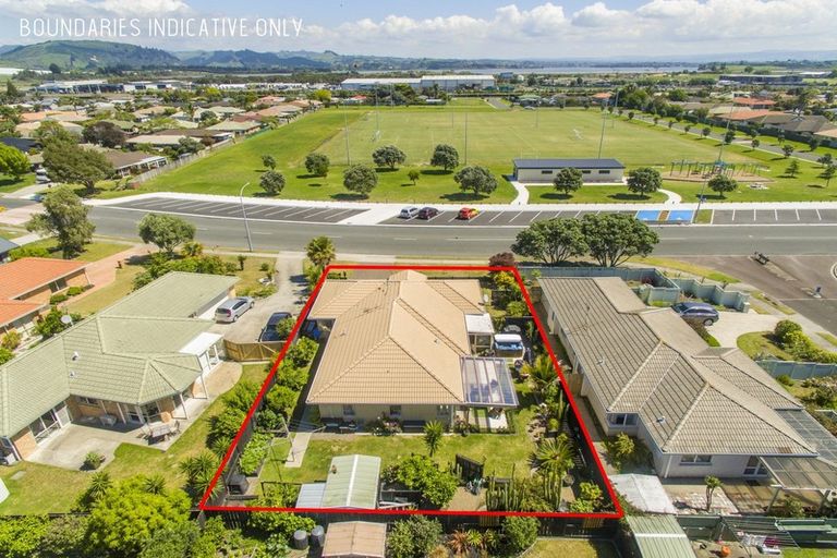 Photo of property in 223 Gloucester Road, Mount Maunganui, 3116