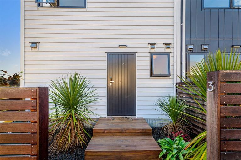 Photo of property in 3/20 Havelock Avenue, Forrest Hill, Auckland, 0620