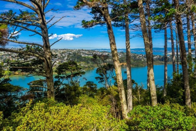 Photo of property in 135a Upper Harbour Drive, Greenhithe, Auckland, 0632