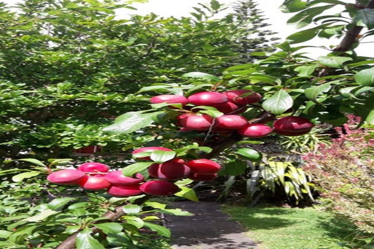 Photo of property in 64 Dale Road, Raumati South, Paraparaumu, 5032