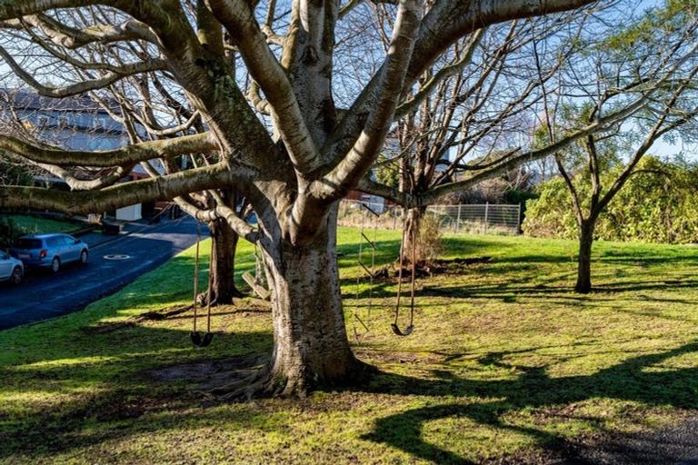 Photo of property in 3 Henry Street, Maori Hill, Dunedin, 9010