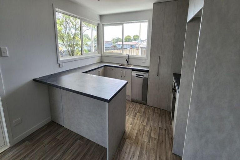 Photo of property in 119a Hamlet Street, Stratford, 4332