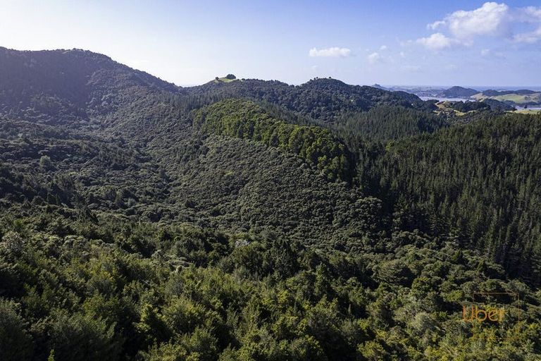 Photo of property in 74 Waiparera Road, Parua Bay, 0192