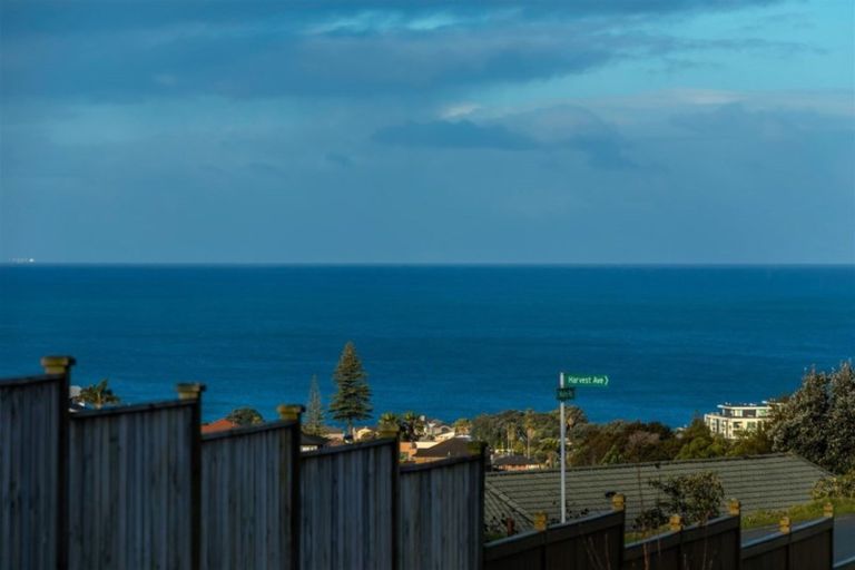 Photo of property in 8 Harvest Avenue, Orewa, 0931