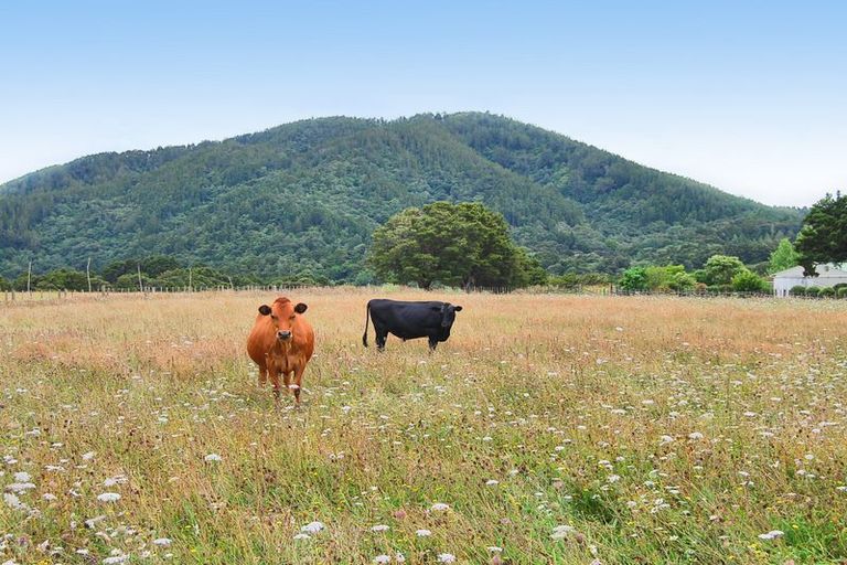 Photo of property in 255 Gibbons Road, Kaiwaka, 0573