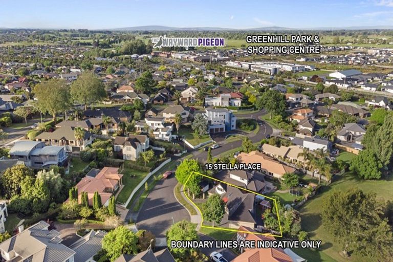 Photo of property in 15 Stella Place, Chartwell, Hamilton, 3210