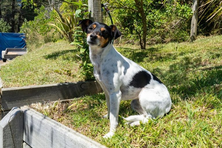 Photo of property in 184-190 Kahukura Avenue, Waitarere Beach, Levin, 5510